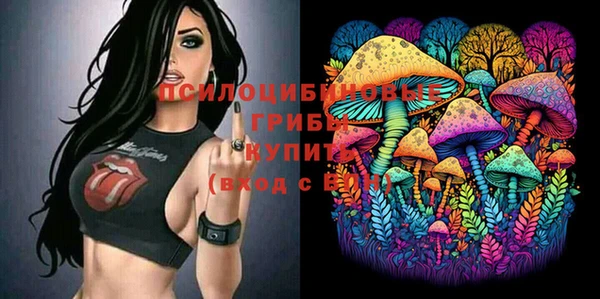 дмт Алзамай
