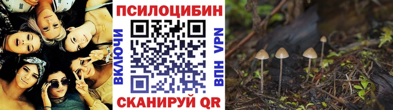 Галлюциногенные грибы MAGIC MUSHROOMS  хочу   Александровское 